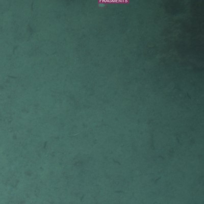 640x640 annotation patch of seafloor litter
