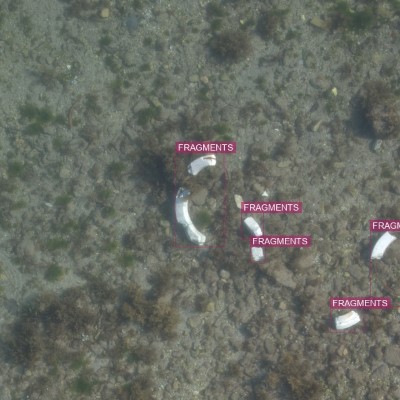 640x640 annotation patch of seafloor litter