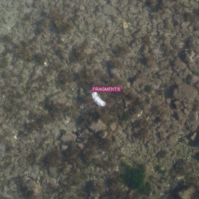640x640 annotation patch of seafloor litter, curated subset